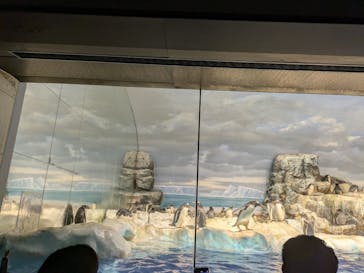 名古屋港水族館に投稿された画像（2025/1/1）