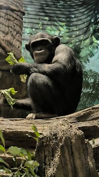 よこはま動物園ズーラシアに投稿された画像（2025/1/1）