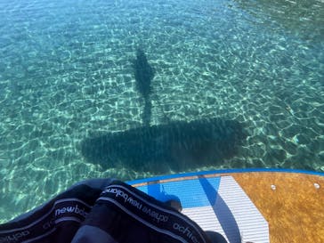 ヘイズサップクラブに投稿された画像（2025/1/2）