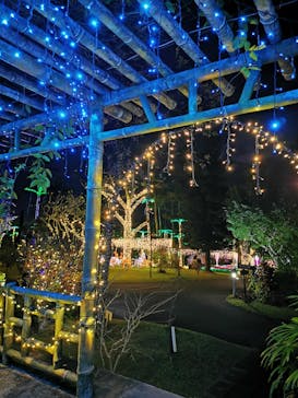 美らヤシパークオキナワ・東南植物楽園に投稿された画像（2025/1/2）