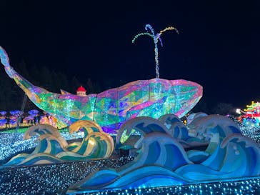 伊豆高原グランイルミに投稿された画像（2025/1/2）