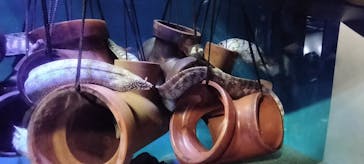 竹島水族館に投稿された画像（2025/1/2）