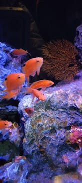 竹島水族館に投稿された画像（2025/1/2）