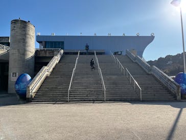大分マリーンパレス水族館 「うみたまご」に投稿された画像（2025/1/2）