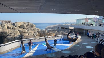 大分マリーンパレス水族館 「うみたまご」に投稿された画像（2025/1/2）