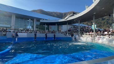 大分マリーンパレス水族館 「うみたまご」に投稿された画像（2025/1/2）