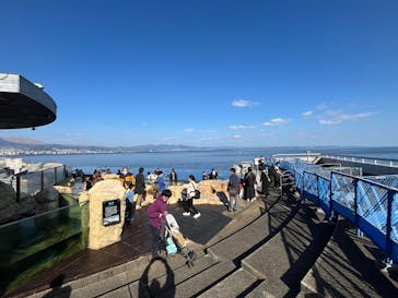 大分マリーンパレス水族館 「うみたまご」に投稿された画像（2025/1/2）