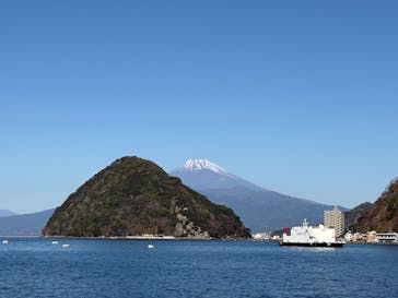 伊豆・三津シーパラダイスに投稿された画像（2025/1/2）