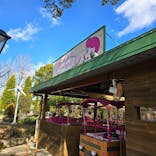 鈴鹿サーキットに投稿された画像（2025/1/2）