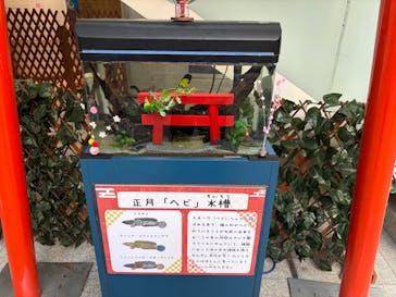 九十九島水族館海きららに投稿された画像（2025/1/2）