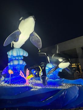 鴨川シーワールドに投稿された画像（2025/1/2）