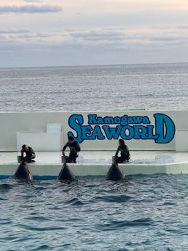 鴨川シーワールドに投稿された画像（2025/1/2）