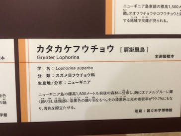 特別展「鳥 ～ゲノム解析が解き明かす新しい鳥類の系統～」国立科学博物館に投稿された画像（2025/1/2）