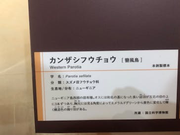 特別展「鳥 ～ゲノム解析が解き明かす新しい鳥類の系統～」国立科学博物館に投稿された画像（2025/1/2）