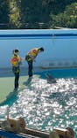 しながわ水族館に投稿された画像（2025/1/2）