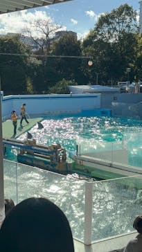 しながわ水族館に投稿された画像（2025/1/2）