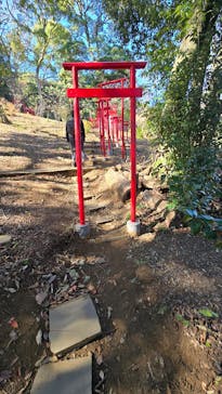 ACAO FORESTに投稿された画像（2025/1/2）