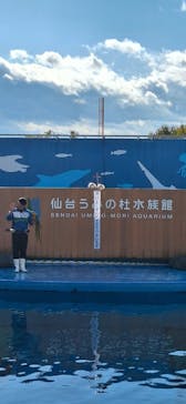 仙台うみの杜水族館に投稿された画像（2025/1/2）