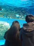 サンシャイン水族館に投稿された画像（2025/1/2）