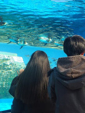 サンシャイン水族館に投稿された画像（2025/1/2）