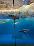 名古屋港水族館に投稿された画像（2025/1/2）