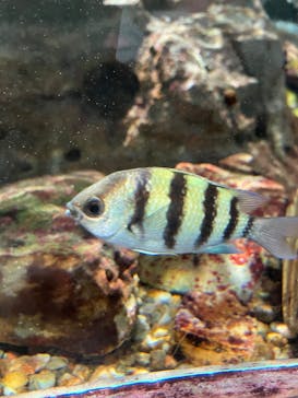 名古屋港水族館に投稿された画像（2025/1/2）