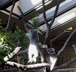 名古屋市東山動植物園に投稿された画像（2025/1/2）