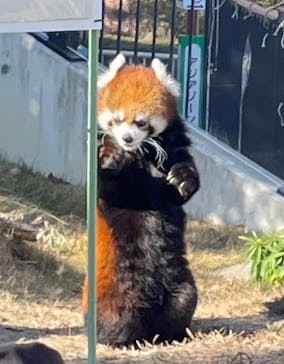 名古屋市東山動植物園に投稿された画像（2025/1/2）