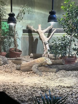 名古屋市東山動植物園に投稿された画像（2025/1/2）