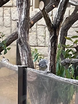 名古屋市東山動植物園に投稿された画像（2025/1/2）