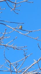 はままつフラワーパークに投稿された画像（2025/1/2）