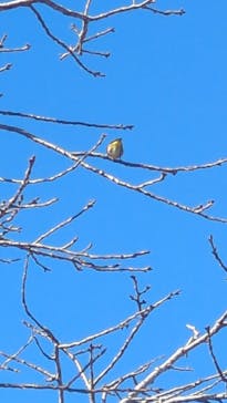 はままつフラワーパークに投稿された画像（2025/1/2）