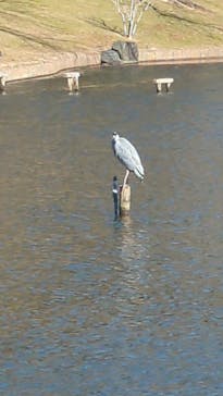 はままつフラワーパークに投稿された画像（2025/1/2）