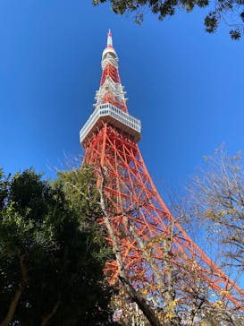 東京タワーに投稿された画像（2025/1/2）