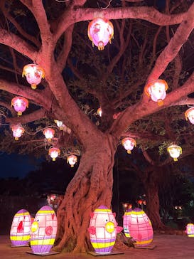 体験王国 むら咲むらに投稿された画像（2025/1/2）