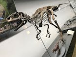 福井県立恐竜博物館に投稿された画像（2025/1/2）