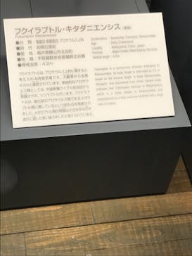 福井県立恐竜博物館に投稿された画像（2025/1/2）