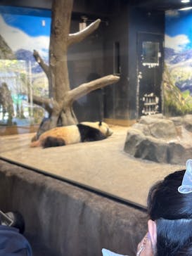 恩賜上野動物園に投稿された画像（2025/1/2）