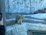 恩賜上野動物園に投稿された画像（2025/1/2）