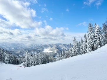 阿仁スキー場に投稿された画像（2025/1/2）