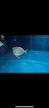 環境水族館アクアマリンふくしまに投稿された画像（2025/1/2）