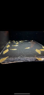 環境水族館アクアマリンふくしまに投稿された画像（2025/1/2）