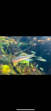 環境水族館アクアマリンふくしまに投稿された画像（2025/1/2）