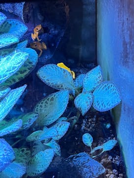 あわしまマリンパークに投稿された画像（2025/1/2）