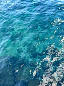 あわしまマリンパークに投稿された画像（2025/1/2）