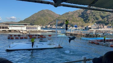 あわしまマリンパークに投稿された画像（2025/1/2）