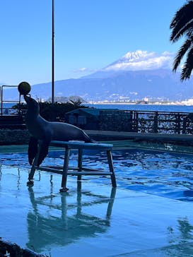 あわしまマリンパークに投稿された画像（2025/1/2）