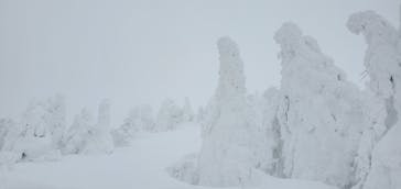 阿仁スキー場に投稿された画像（2025/1/2）