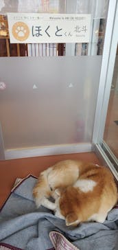 阿仁スキー場に投稿された画像（2025/1/2）