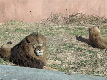 多摩動物公園に投稿された画像（2025/1/2）